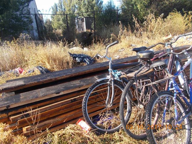 Furt de cherestea surprins de Politia Locala