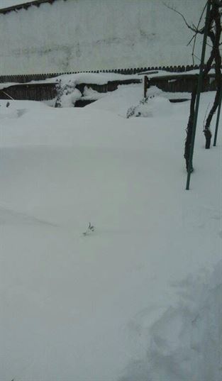 In judetul Braila mai sunt inca 10 drumuri judetene inchise
