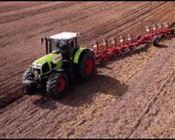 Culturile de toamna din Braila se prezinta bine pana la aceasta data