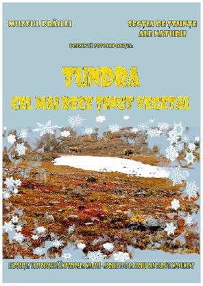 „Tundra, cel mai rece tinut vegetal” - foto-expozitie care poate fi admitara la Sectia de Stiinte ale Naturii din Parcul Monument