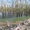 Dunarea ameninta digul Braila-Galati
