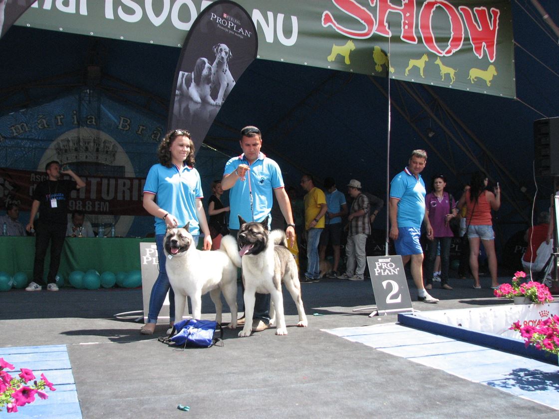 Miss si Mister Canin Show, castigate de cainii jandarmului Casian Mecea