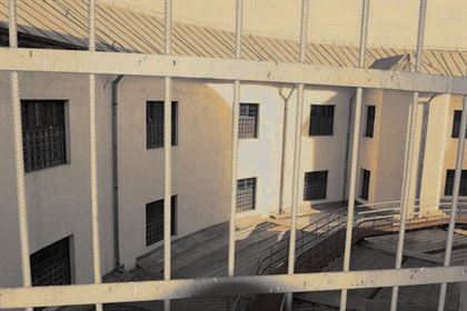 Cu ochii pe infractori, politistii nu stiu de gluma