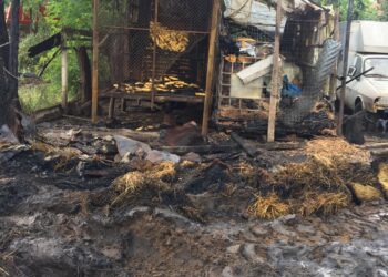 Incendiu în care au ars două anexe gospodărești, 700 de baloți și 21 de animale