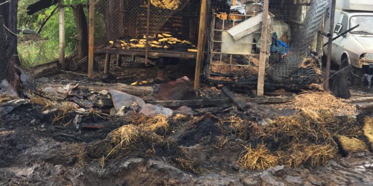 Incendiu în care au ars două anexe gospodărești, 700 de baloți și 21 de animale