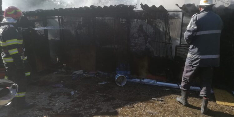 Incendiu pe strada Eroilor din cartierul Vidin