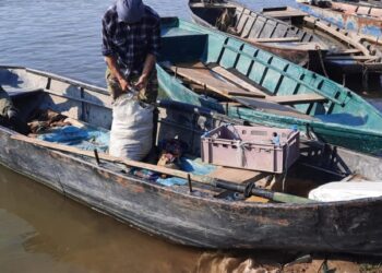 Prinși la pescuit fără autorizație