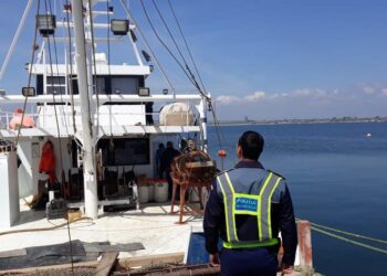 Polițiștii au acționat pentru creșterea siguranței activităților pe apă