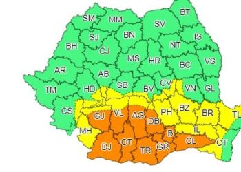Cod galben de ploi însemnate cantitativ
