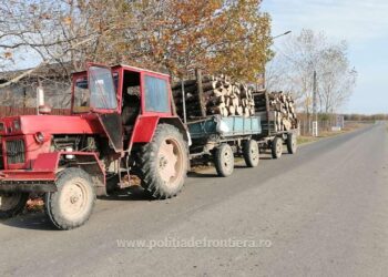 Cu permis de conducere necorespunzător, depistat pe raza comunei Gropeni conducând un ansamblu rutier cu remorcă neînmatriculată