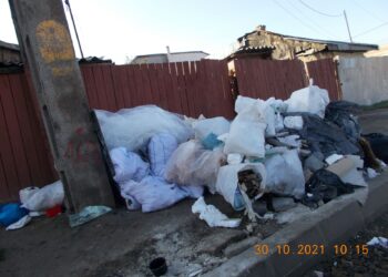 Amenzi aplicate de polițiștii locali în perioada 20 octombrie – 2 noiembrie