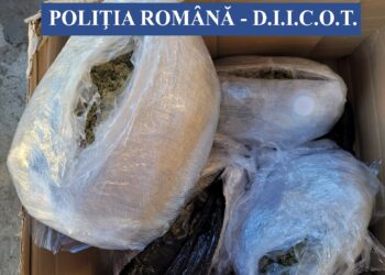 Brăilean depistat în flagrant delict în timp ce ridica de la o firmă de curierat un colet cu peste 10 kg de canabis