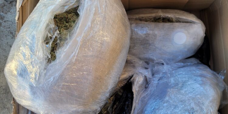 Brăilean depistat în flagrant delict în timp ce ridica de la o firmă de curierat un colet cu peste 10 kg de canabis