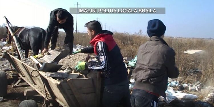 Poliția Locală a confiscat căruța care a transportat deșeuri inerte care au fost descărcate apoi pe domeniul public
