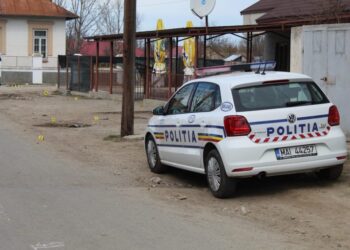 Focuri de armă și mașini distruse în comuna Viziru