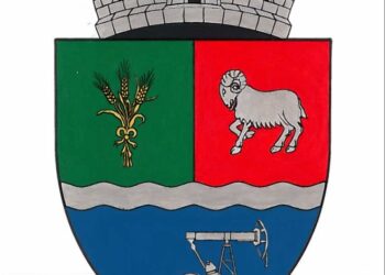 Guvernul a aprobat stema comunei Bordei Verde
