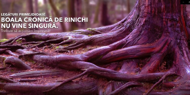 90% dintre bolnavii de Boală Cronică de Rinichi nu știu că au acest diagnostic
