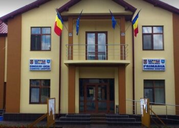 ANI a constatat starea de incompatibilitate în cazul unei foste consiliere PNL din comuna Gropeni