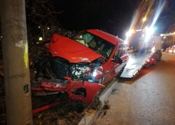 Galerie foto: A intrat cu mașina într-un copac şi un stâlp de iluminat public