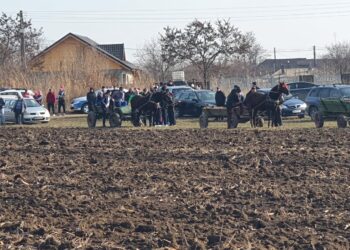 Galerie foto: Tradiția întrecerii cailor a fost menținută și anul acesta la Cazasu