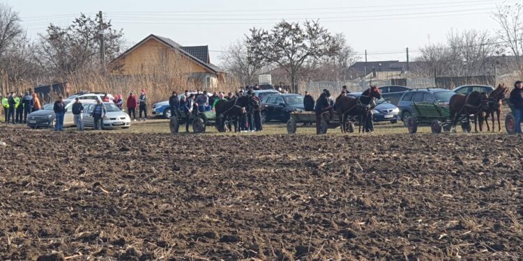 Galerie foto: Tradiția întrecerii cailor a fost menținută și anul acesta la Cazasu