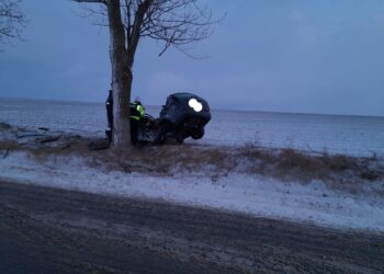 Brăileni decedați într-un accident în județul Tulcea