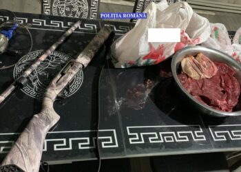 Reținuți la mai bine de două luni de la perchezițiile în care poliția s-a sesizat pentru vânarea fără drept a unui cerb carpatin