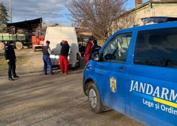 Brăilean depistat de jandarmii gălățeni transportând 3 mc de lemne de foc fără documente legale
