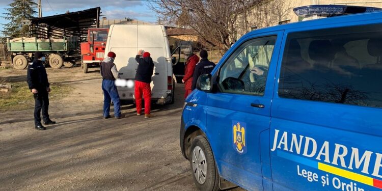 Brăilean depistat de jandarmii gălățeni transportând 3 mc de lemne de foc fără documente legale