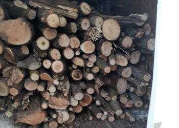 Brăilean depistat de jandarmii gălățeni transportând 3 mc de lemne de foc fără documente legale