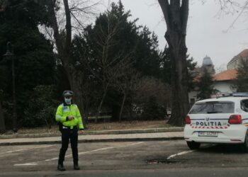Polițiștii au acționat pe raza orașului Însurăței