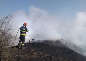 Incendii de vegetație în județul Brăila. Cine plătește?