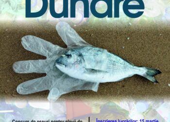 Manifest pentru Dunăre, concurs de eseuri