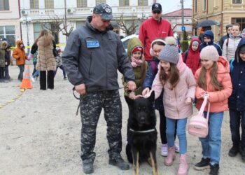 Sute de copii, dar și alți brăileni, au avut ocazia să vadă dotările IPJ Brăila. De o atracție deosebită s-a bucurat câinele ”Gipsy”