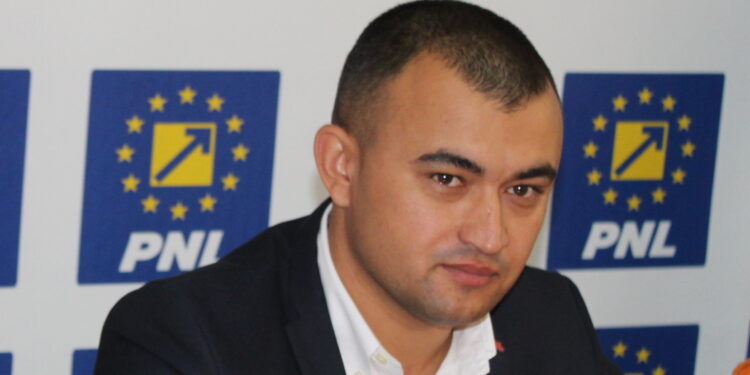 Războiului declarațiilor PNL – PSD a ajuns la faza pe cultură