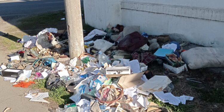 Amenzi usturătoare pentru cei care aruncă gunoiul pe domeniul public