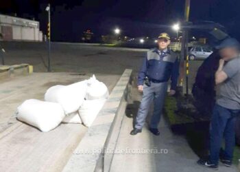 Depistați de polițiștii de frontieră cu sacii de orz furați de pe o navă sub pavilion Slovacia