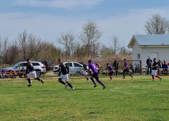 Rezultate înregistrate în Liga a 5-a