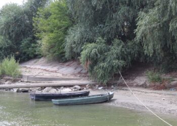 Trupul unei femei de 42 de ani a fost văzut plutind pe malul Dunării, în zona trecerii cu bacul Stânca