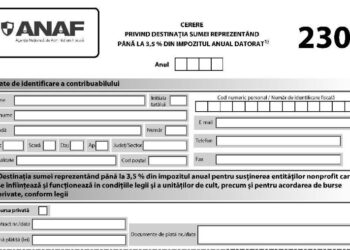Precizări referitoare la depunerea formularului 230