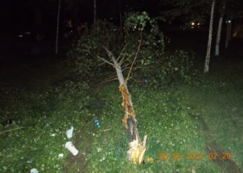 Incidente sesizate de Poliția Locală în parcul Monument