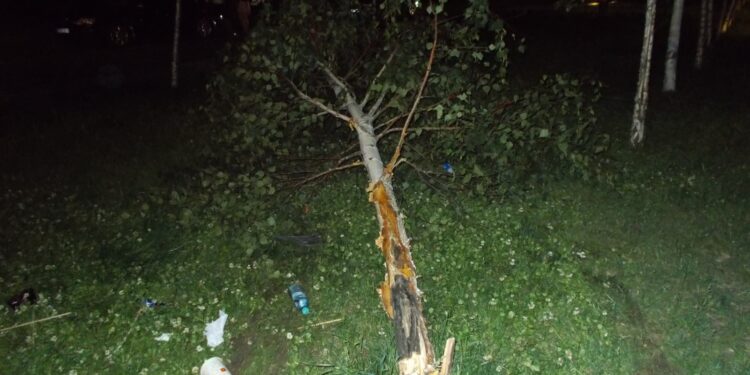 Incidente sesizate de Poliția Locală în parcul Monument