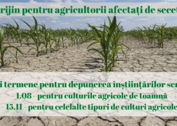 Modificare în procedura de sprijin pentru agricultorii ale căror culturi sunt afectate de seceta severă