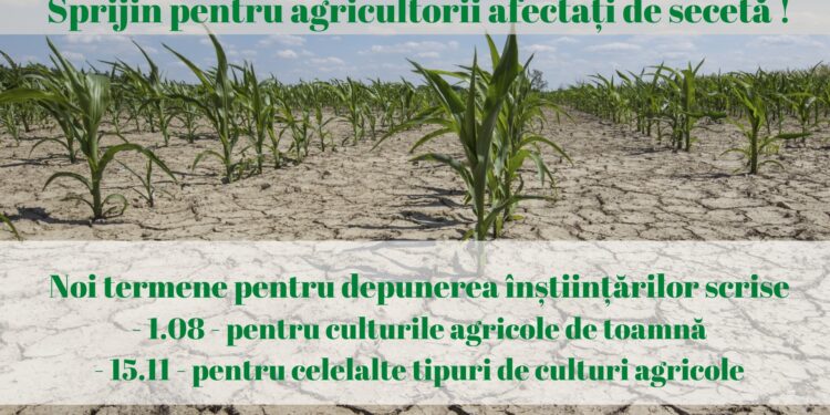 Modificare în procedura de sprijin pentru agricultorii ale căror culturi sunt afectate de seceta severă