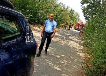 Jandarmii Daniel și Adrian au fost primii care au intervenit pentru stingerea unui incendiu de vegetație lângă linia de tramvai din stațiunea Lacu Sărat