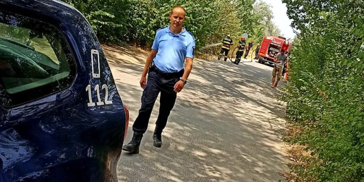 Jandarmii Daniel și Adrian au fost primii care au intervenit pentru stingerea unui incendiu de vegetație lângă linia de tramvai din stațiunea Lacu Sărat