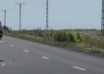 Accident fără victime pe DE584, între Însurăței și Bărăganul