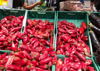 Deputatul Popa îi asigură pe legumicultorii din Vișani de sprijinul său necondiționat