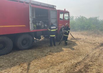 Intervenții în forță pentru oprirea propagării unui incendiu de vegetația la o pădure și culturile din jur