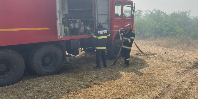 Intervenții în forță pentru oprirea propagării unui incendiu de vegetația la o pădure și culturile din jur